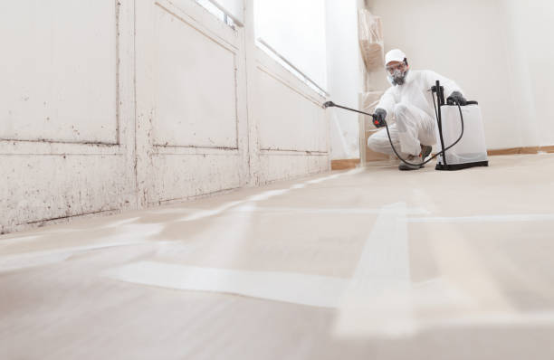 24/7 Emergency Mold Remediation experts in Mattapan, MA